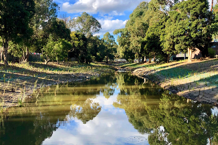 Blind Creek after 'daylighting'